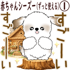 Baby Shih Tzu (Can be used forever) 1