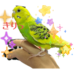 ayaka_20260318200315