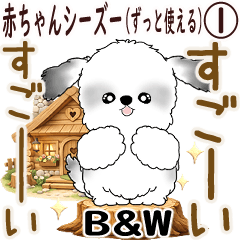 B&W Baby Shih Tzu(Can be used forever) 1