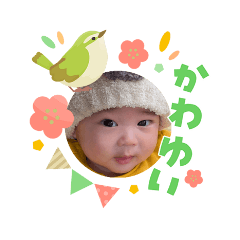 Ozaki_20260319121912