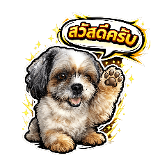 pantila_20260318174711