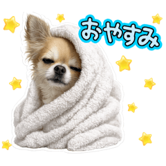 skz0915_20260318221230