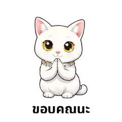 P2m Lap Korat_20260318220800