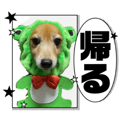 inuneko_20260318232101