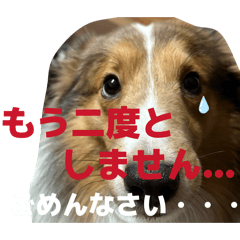 miyzu_20260318225602