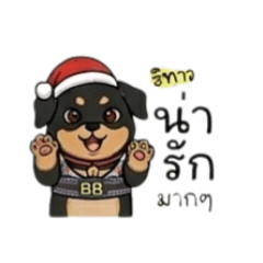 KRISANA_20260319030445