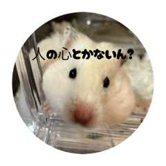 ichimikunn_20260319144536