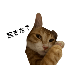 hello,Riko_20260319153729