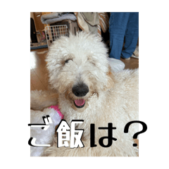 erika_20260319154226