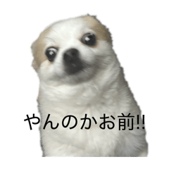 ibuki_20260319121021