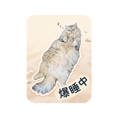 Re-na_20260319120542