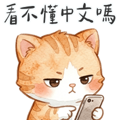 QQQQQQQQQQmeow meow2