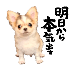 ruchi_20260319021406