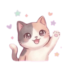 三花貓 | 貓界美女來囉！