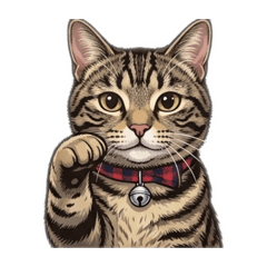 popola_20260319140802