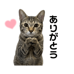 N.yuri_20260319141806