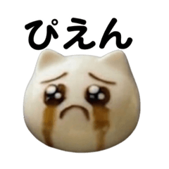 Soy sauce face tofu mental cat