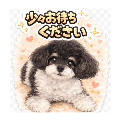 my cute dog / mix / black & white