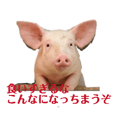 olvlo_20260316153517