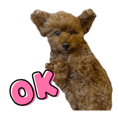 Kanoka_20260319211450