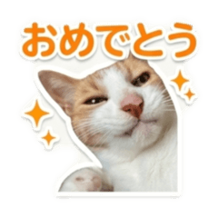 Re-na_20260319211136