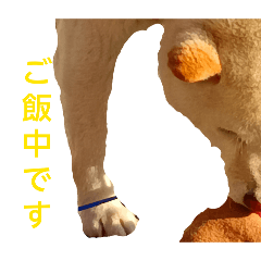 rakyy_20260319211916