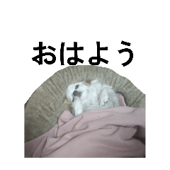 haruka_20260319212032