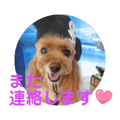 monanoa_20260319175918