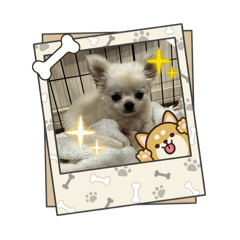 minamiiroha_20260319194328