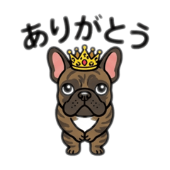 ROHAN_20260319222939