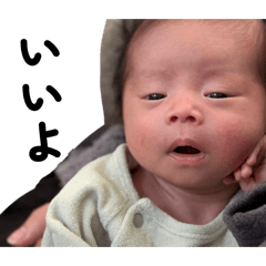 matsu_20260319222543