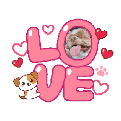 Nyontau_20260319152120