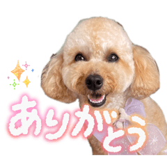 miya_20260319162027