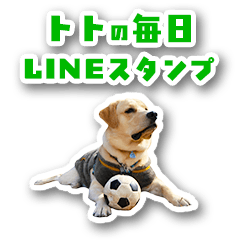 Toto's Daily Stickers Vol. 3