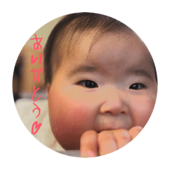 mayu_20260319164351