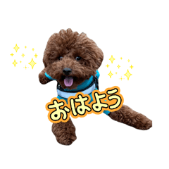 forte_20260319204050