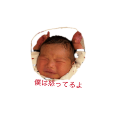 babu_20260319205307