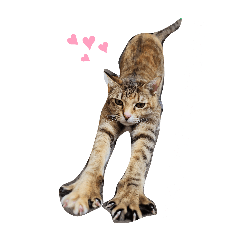 rusio_20260319204901