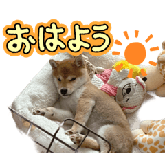 Hichan_20260320063937