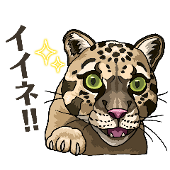 kiyota_20260316154414