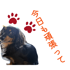 nonko_20260319231632