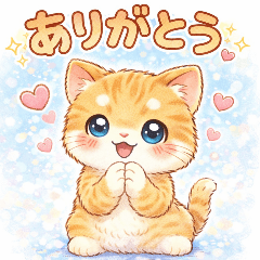 Daily Cute Healing Cat Stickers