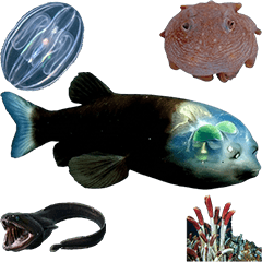 BIG! 深海生物真人表演