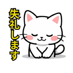 Instant Reply White Cat Stickers