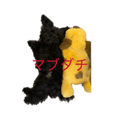 YUSUKE YAMANAKA_20260319235209