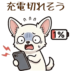 Cute Dog Shirochiva Unavailable Stickers