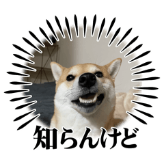 hirune_20260320000549