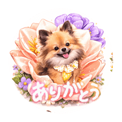 kasumi_20260320082930