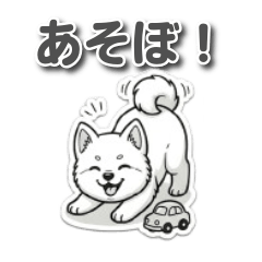 Fluffy Akita Puppy: Daily Greetings