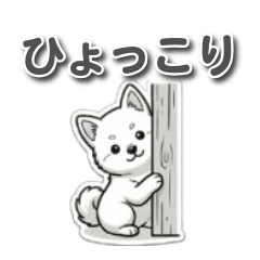 Fluffy Akita Puppy: Playtime